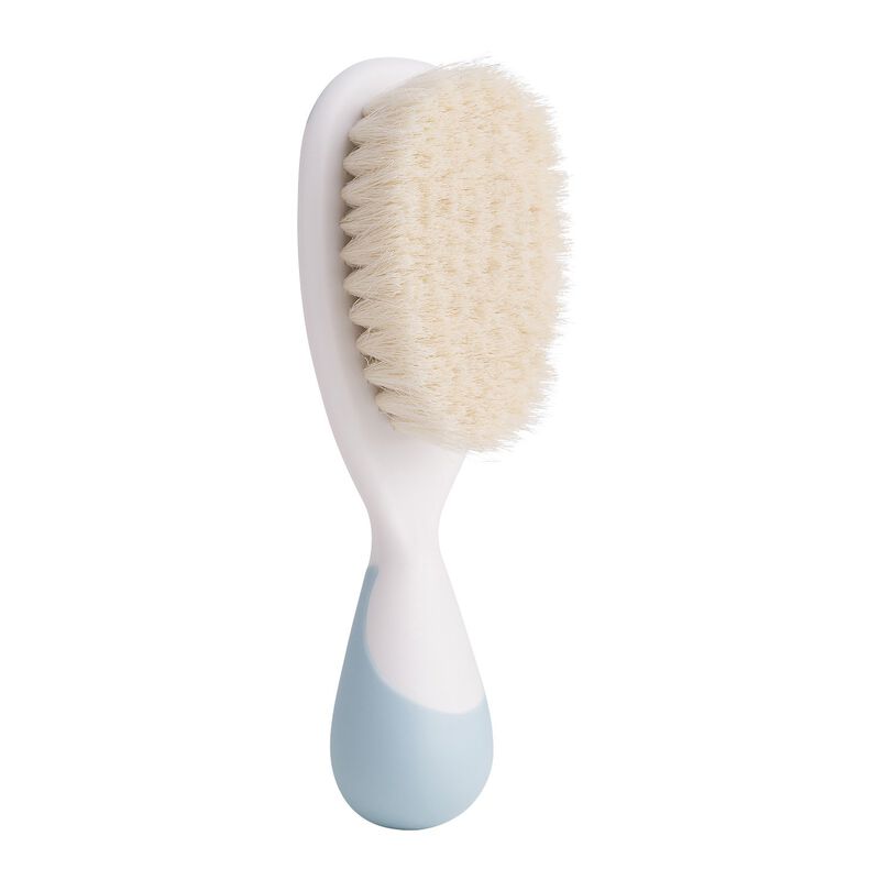 Brush and Comb image number null